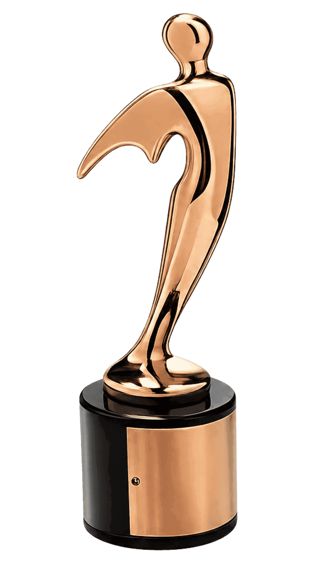 Bronze Telly Award