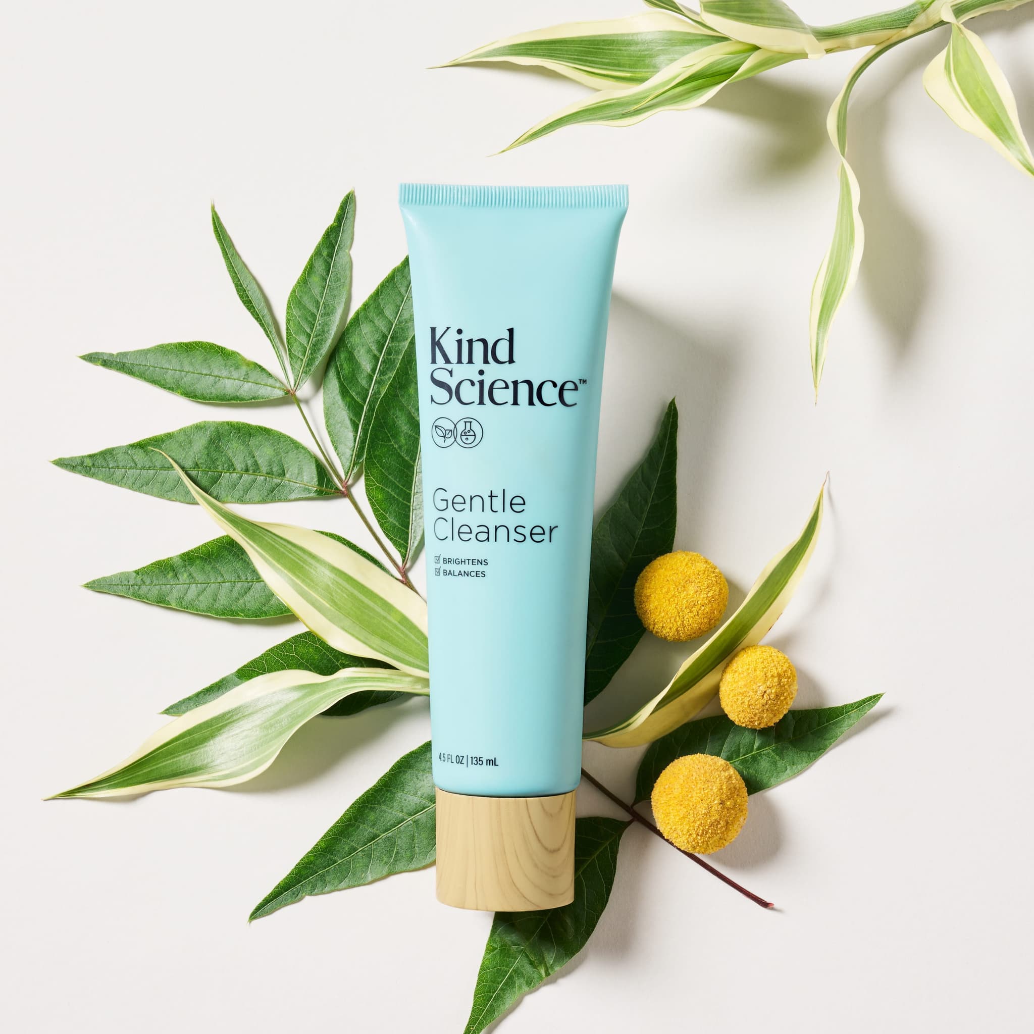 Gentle Cleanser