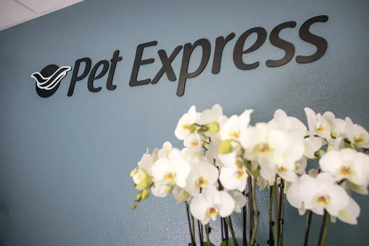Pet Express 4