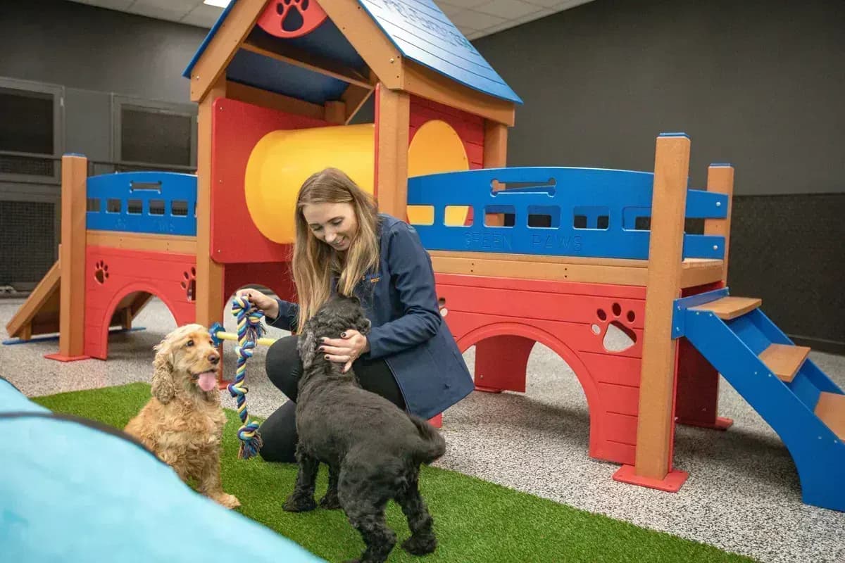 Pet Express 8