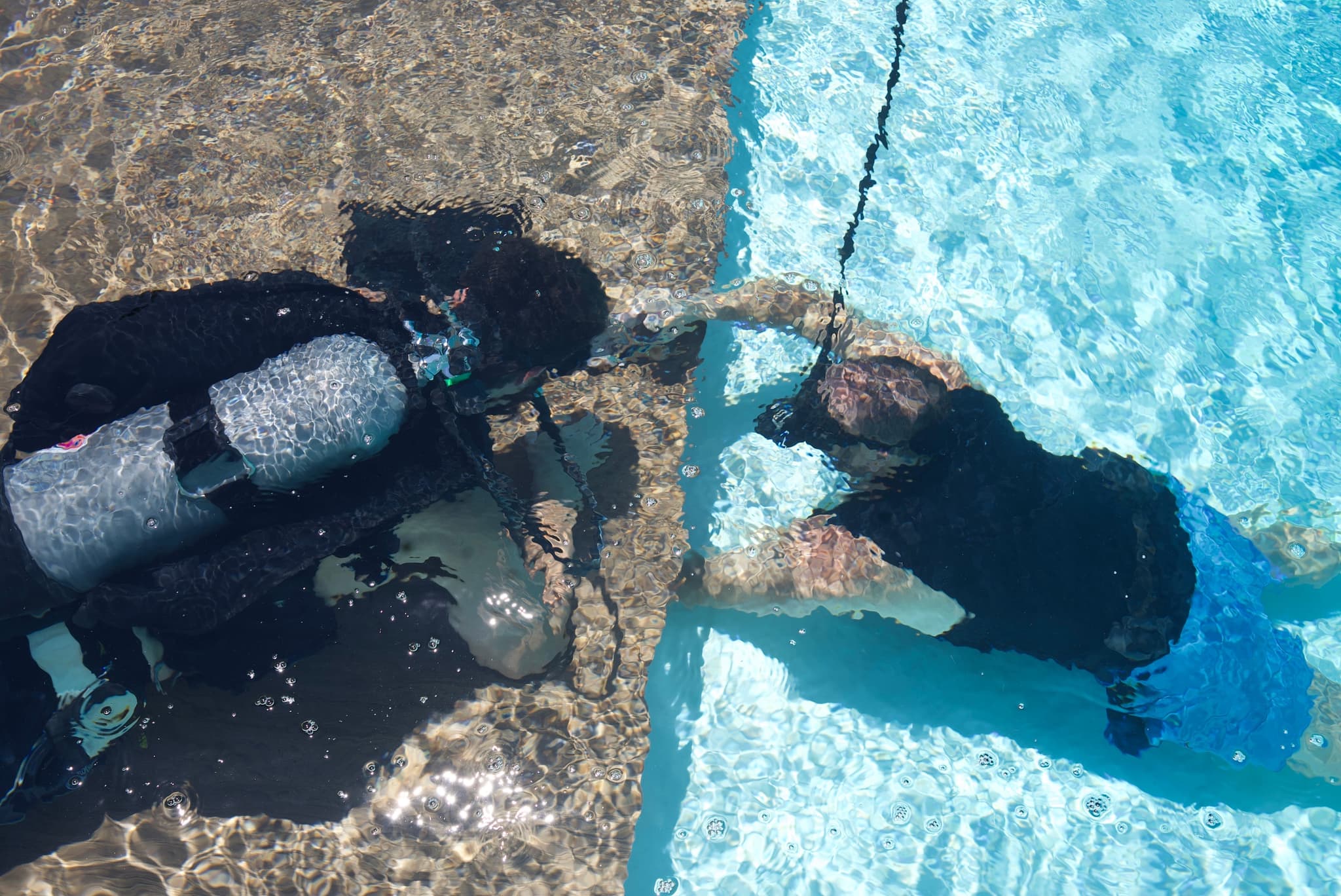 Pool BTS 06