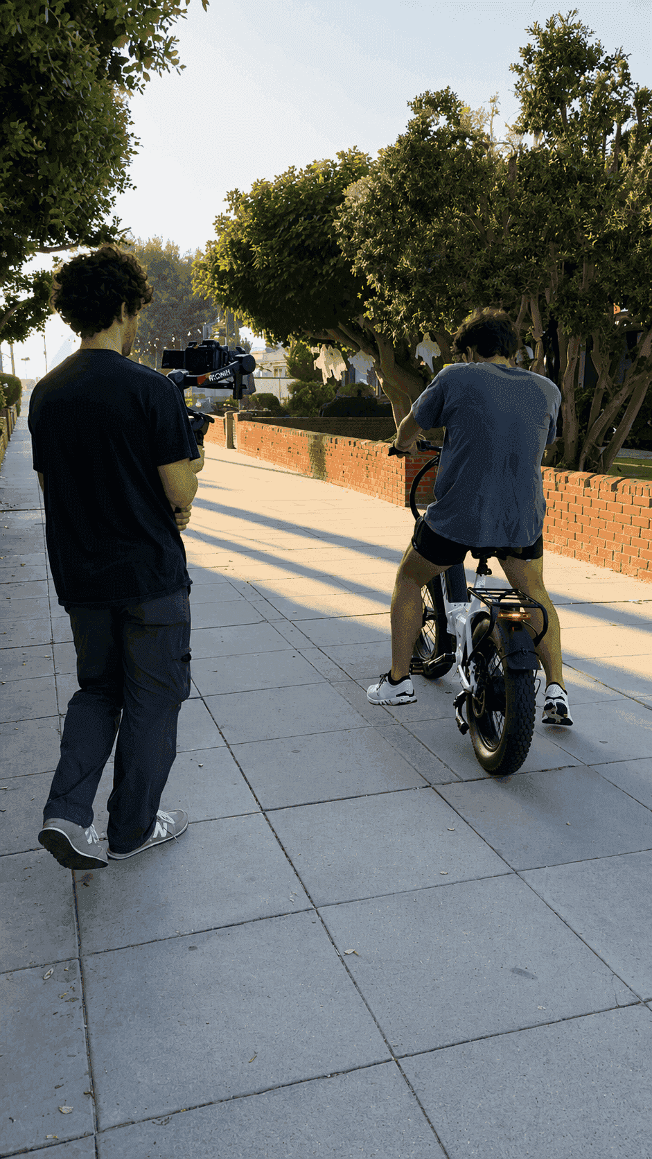 Strand Bikes BTS 2